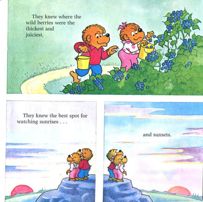 The Berenstain Bears' Trouble with Money