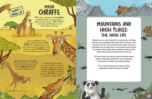 The Wild Life of Animals