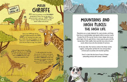 The Wild Life of Animals