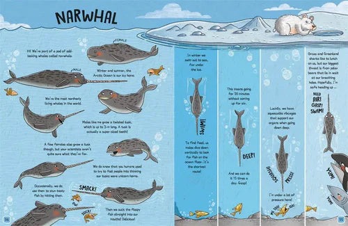 The Wild Life of Animals