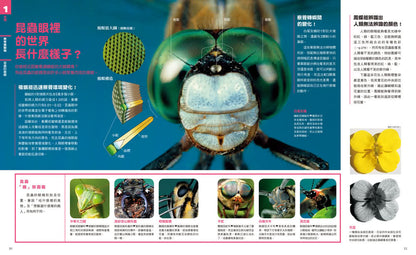 中小學生必讀科學常備用書1 NEW全彩圖解觀念生物