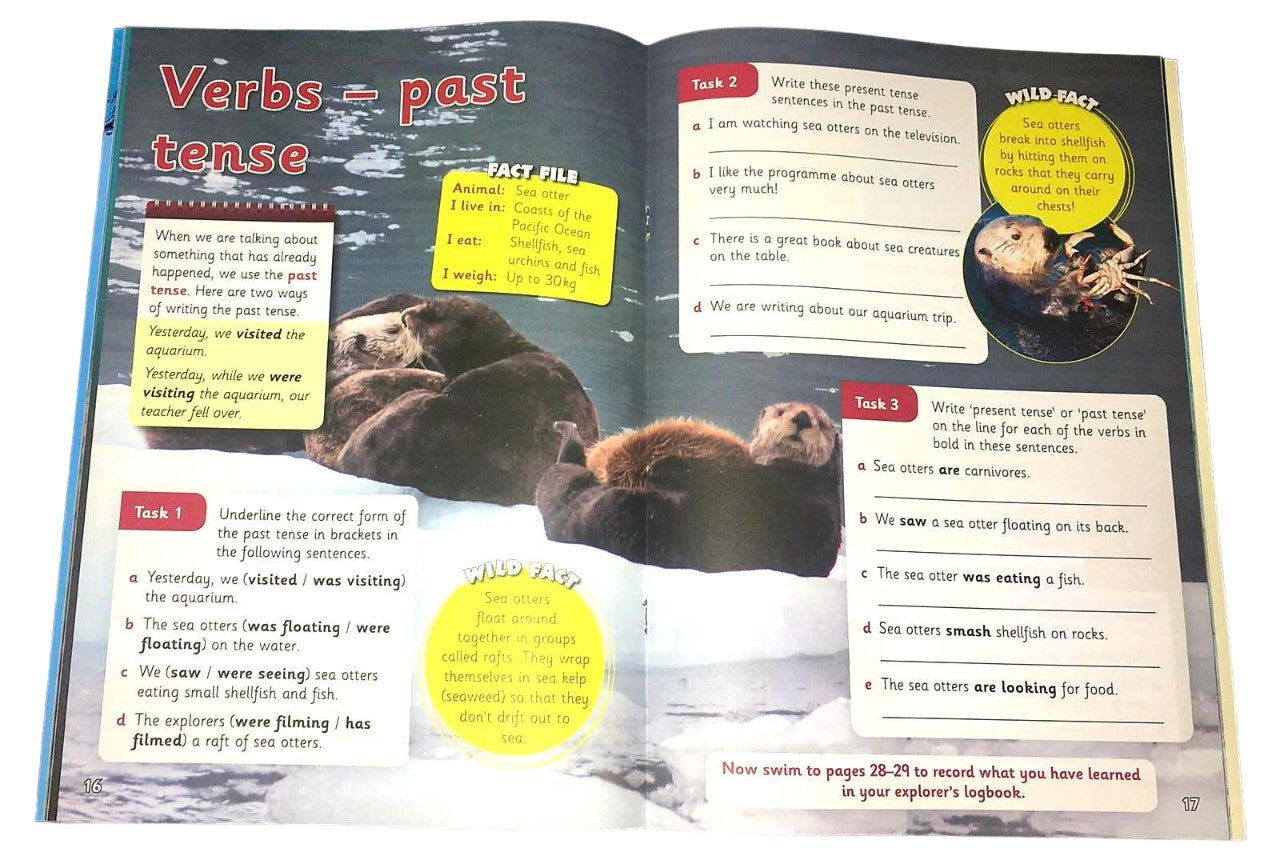 Letts Wild About: Ages 5-7 Collection