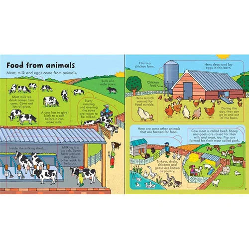 Look Inside Food