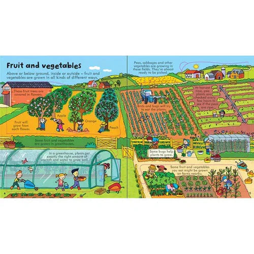 Look Inside Food