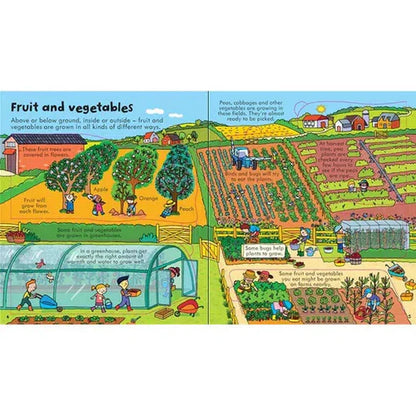 Look Inside Food