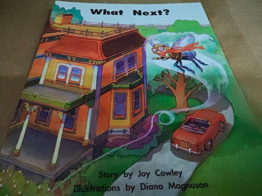 WHAT NEXT