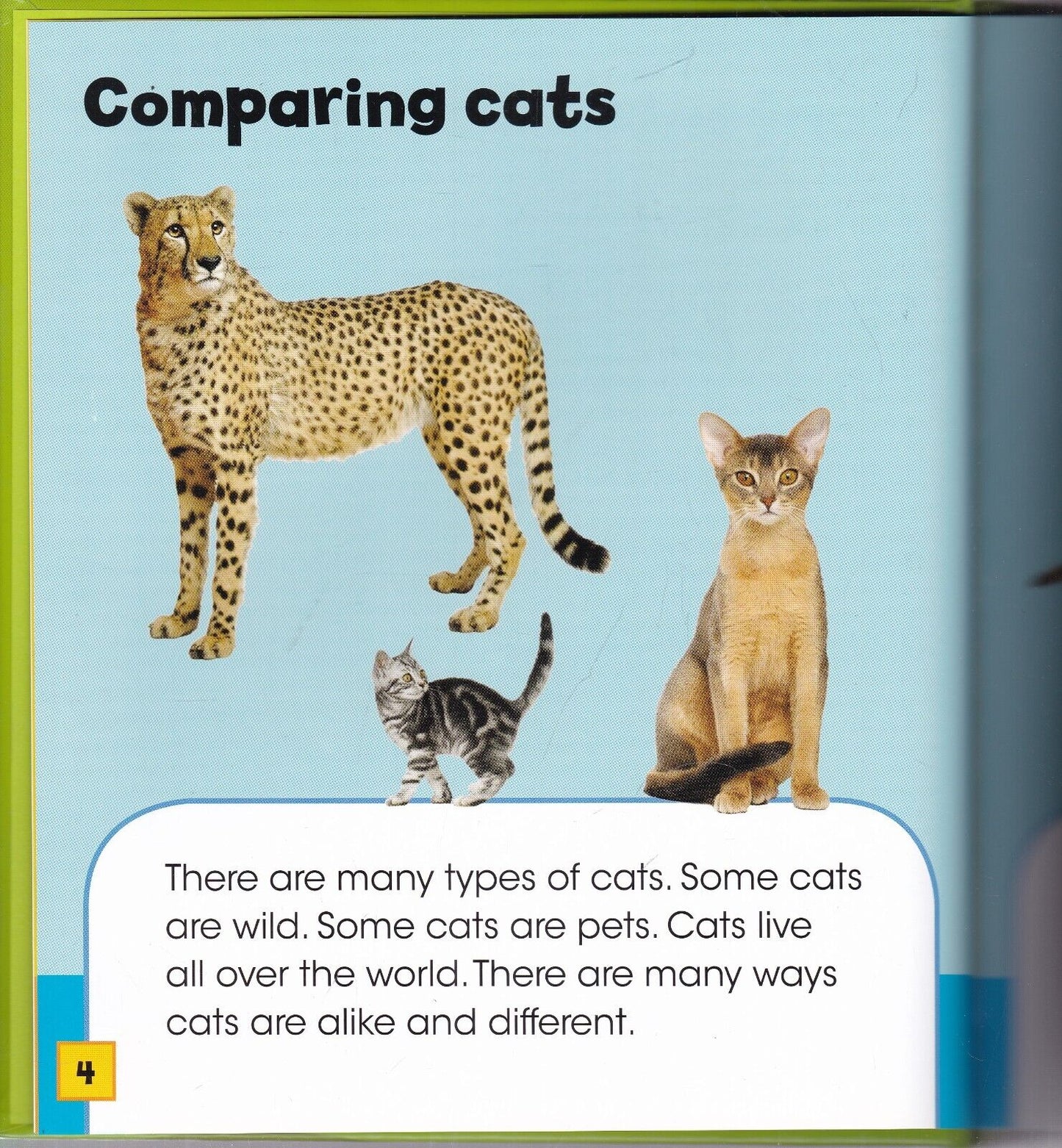 Animaths Collection - 6 Books