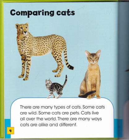 Animaths Collection - 6 Books
