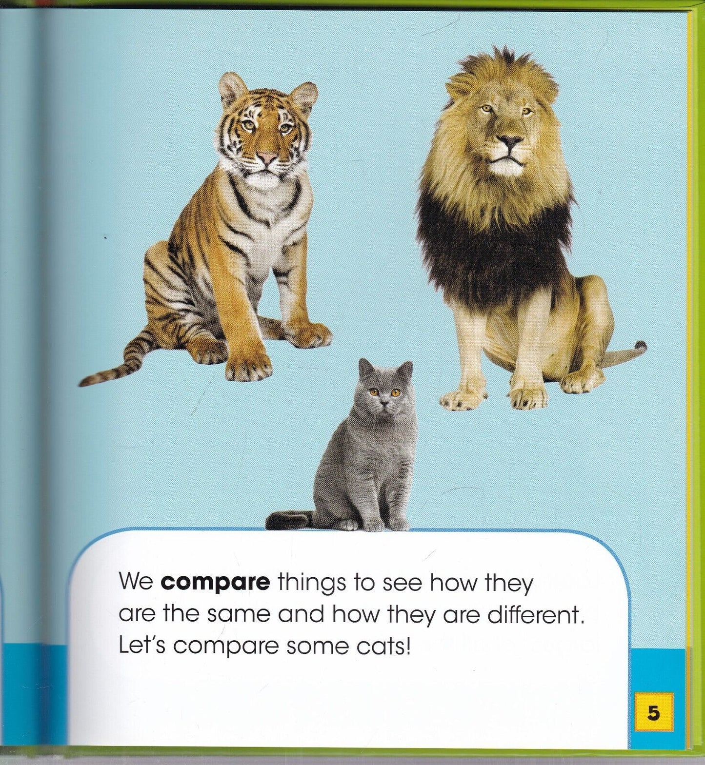 Animaths Collection - 6 Books