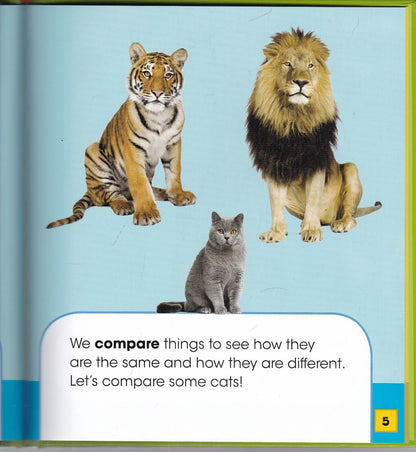 Animaths Collection - 6 Books