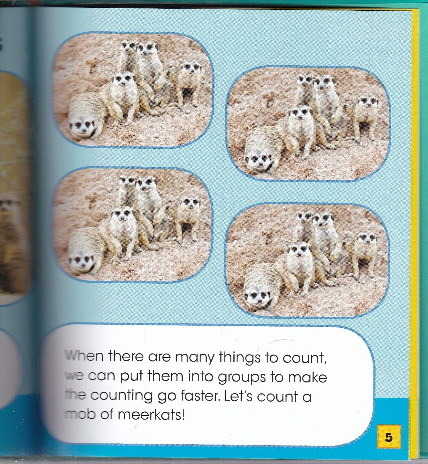 Animaths Collection - 6 Books