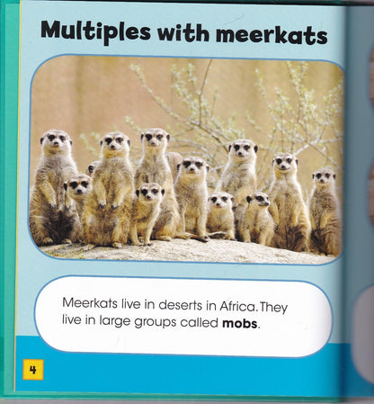 Animaths Collection - 6 Books
