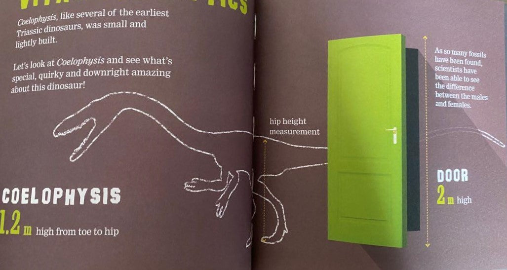 What's So Special About Dinosaurs - 8 Books