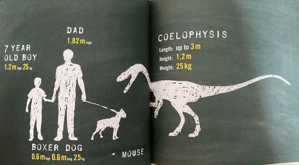 What's So Special About Dinosaurs - 8 Books