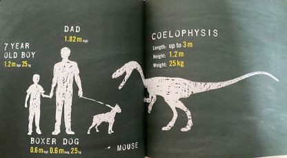 What's So Special About Dinosaurs - 8 Books